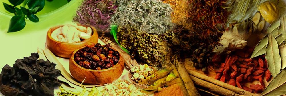 Overview of Sanjeevani Ayurvedic Medical College